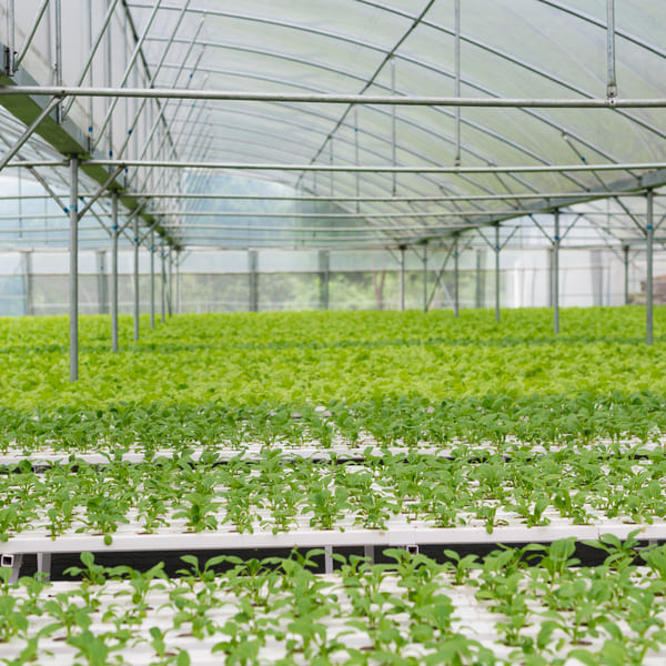 Smart Agriculture